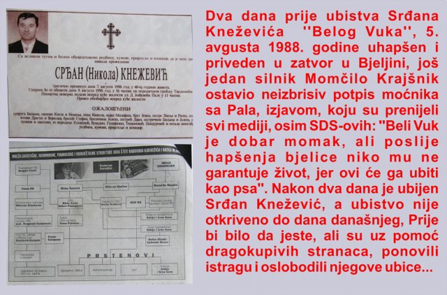 9. bjelica-ubistvo srdjana....jpg, 544 KB